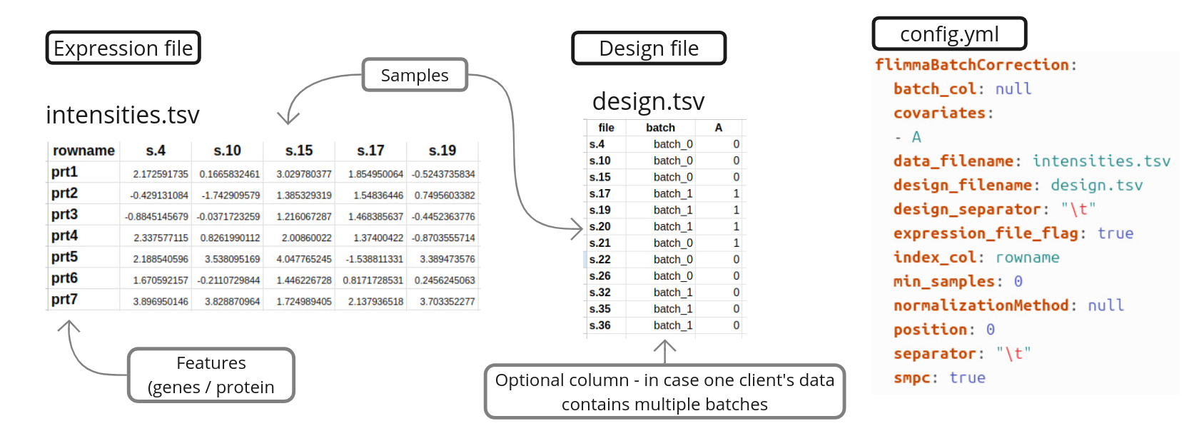 Required files figure